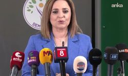 Ayşegül Doğan: Çerçeve yasa temmuzda gündeme gelmeli, gecikme kabul edilemez
