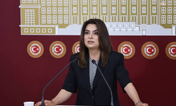 DEM Partili Koçyiğit'ten AYM'nin HPV aşısı kararına tepki: "Kanserden korunmak zenginlerin ayrıcalığı olamaz"