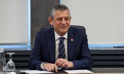 Yeni Parti'ye kamuoyu desteği ne düzeyde? Anketler ve uzmanlar ne diyor?