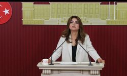 DEM Parti'den çerçeve yasa çağrısı: Dönüşler ve demokratik siyaset güvence altına alınmalı