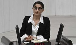 DEM Partili Cupolo’dan fon krizi için Meclis’te soru önergesi