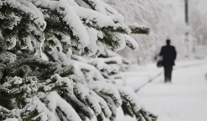 Meteorolojiden uyarı: 8 ilde kar yağışı bekleniyor