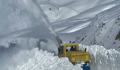 Van, Muş, Bitlis ve Hakkari’de 650 bölge ulaşıma kapandı