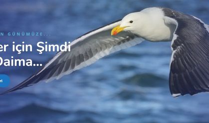 Yunanca Çeviri ve Türkçe Felemenkçe Çeviri - Okeanostercume.com.tr