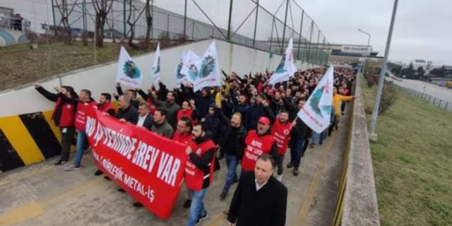 Schneider Enerji'de grev başladı