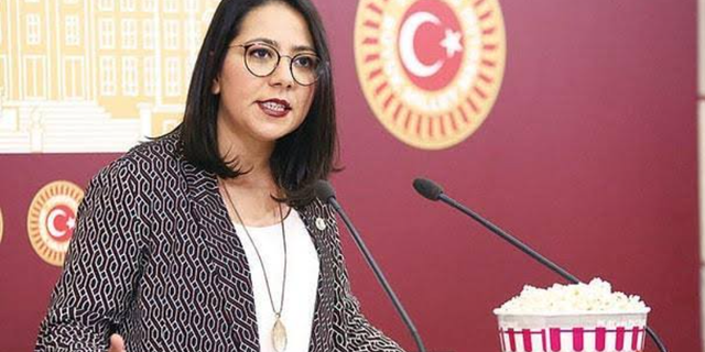 TİP'li Sera Kadıgil, HDP ile anlaşamadıkları noktaları anlattı: Bazı illerde bizim listelerimizle seçime girilsin
