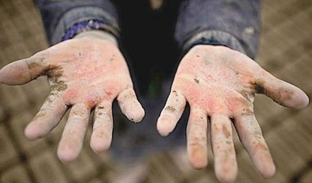 Çocuk işçi sayısı sürekli artıyor: Çalışmaya mecburuz