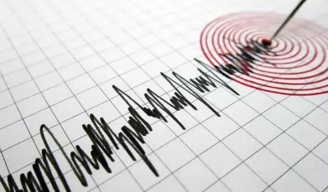 Van'da peş peşe 5 deprem meydana geldi