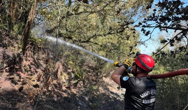 Orman-İş Sendikası: TİS görüşmesi 15-20 güne kadar bitmezse grev kararı almak durumundayız