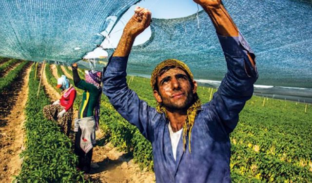 Köye dönecek gençlere bedelsiz arazi, kredi ve konut desteği