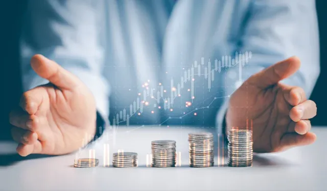 Para Piyasası Fonları Hakkında Bilmeniz Gereken Temel Bilgiler