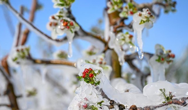 Meteoroloji’den yağış ve zirai don uyarısı