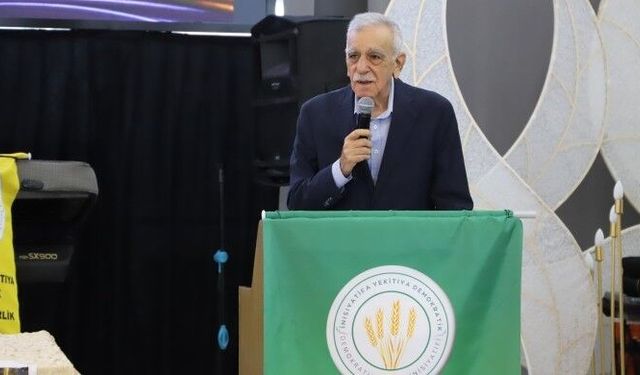 Ahmet Türk'ten süreç açıklaması: Taslak üzerinde çalışmalar sürüyor