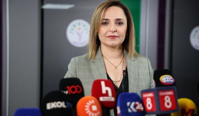 Ayşegül Doğan: 'Çerçeve yasa süreci kurumsal güvence altına alacak'