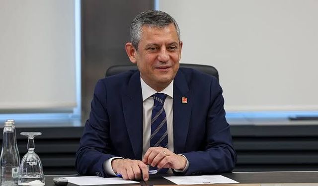 Yeni Parti'ye kamuoyu desteği ne düzeyde? Anketler ve uzmanlar ne diyor?