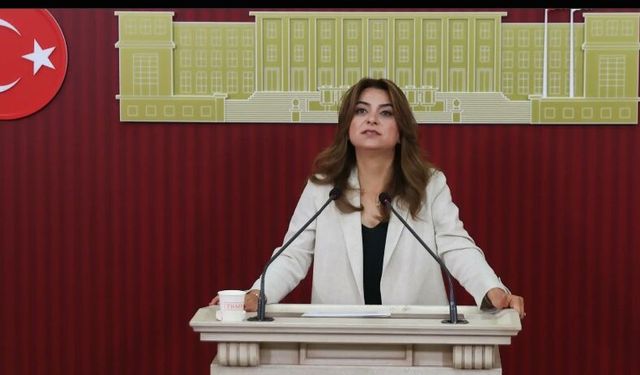 DEM Parti'den çerçeve yasa çağrısı: Dönüşler ve demokratik siyaset güvence altına alınmalı