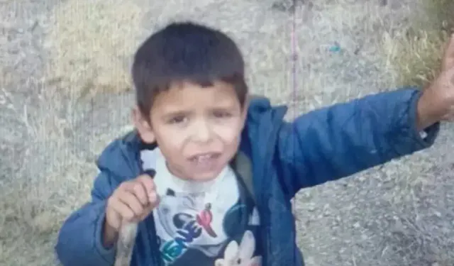 ‘Kaza’ ve ‘intihar’ denilmişti: Çocuk ölümleri cinayet çıktı