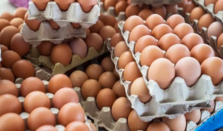 127 ton yumurtada kanserojen madde tespit edildi! Tayvan, Türkiye’den yumurta alımını durdurdu