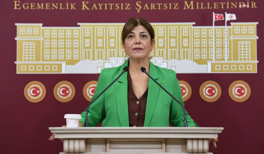 Meral Danış Beştaş, kadın cinayetleri için Meclis Araştırması istedi