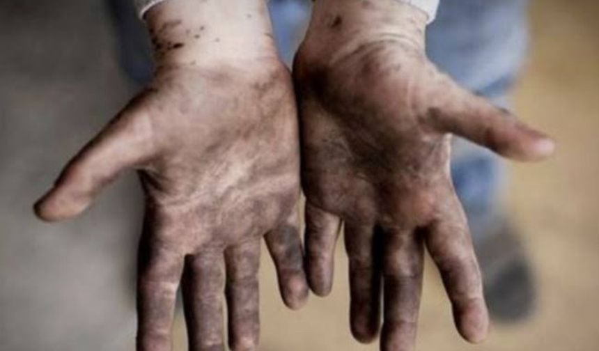 5 ayda 24 çocuk işçi hayatını kaybetti