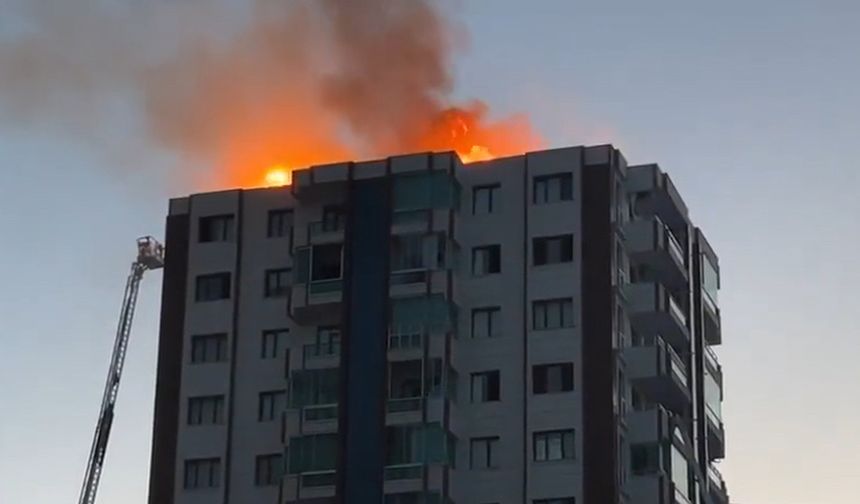 Diyarbakır’daki Rojava sitesi yangınıyla ilgili 4 kişi gözaltına alındı