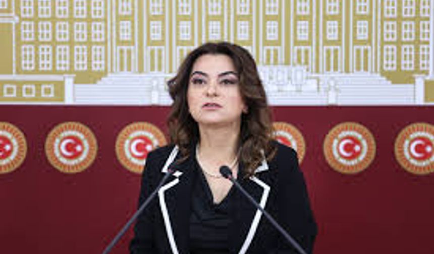 DEM Parti: Meclis'te komisyon kurulması en acil görev