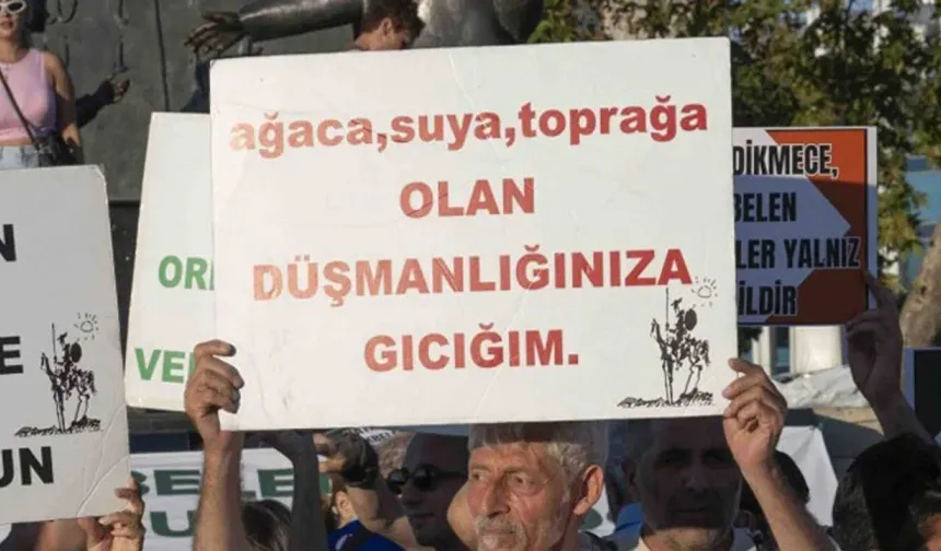 Tartışmalı madde TBMM'de kabul edildi: Zeytinlikler madenlere açılacak