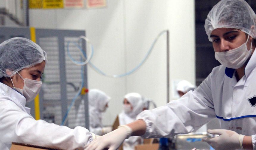 Eti’de kadın işçiler: Tacize, mobbinge, kodlu çıkışlara karşı birlik olmalıyız