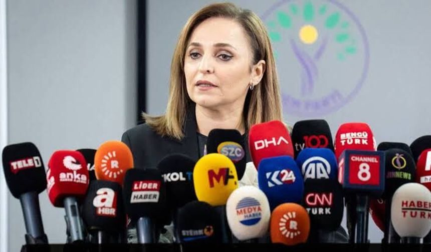 Ayşegül Doğan: Silah bırakanlara yasal koruma sağlanmalı