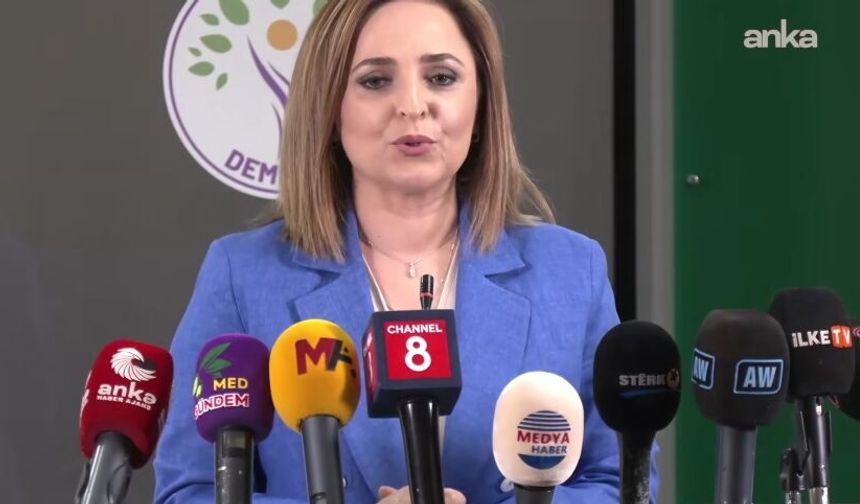 Ayşegül Doğan: Çerçeve yasa temmuzda gündeme gelmeli, gecikme kabul edilemez