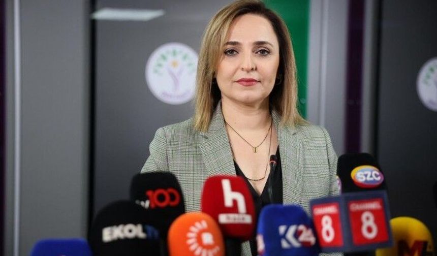 Ayşegül Doğan: 'Çerçeve yasa süreci kurumsal güvence altına alacak'