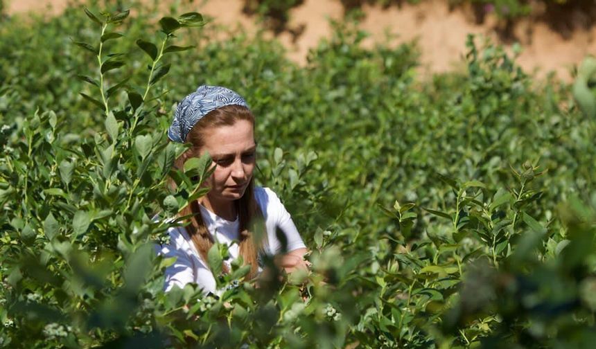 Ormandaki Bahçe: Kadın emeğini toprağa benzeten Zeynep Çelik'in yeni mücadele alanı