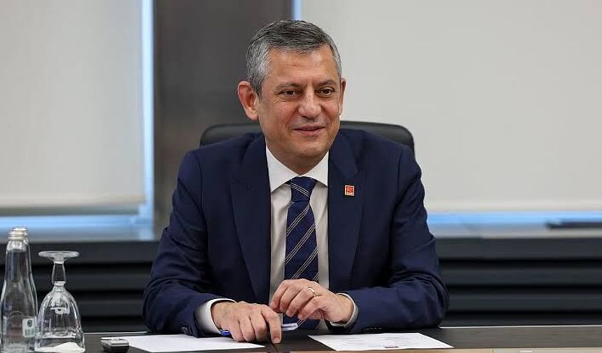 Yeni Parti'ye kamuoyu desteği ne düzeyde? Anketler ve uzmanlar ne diyor?