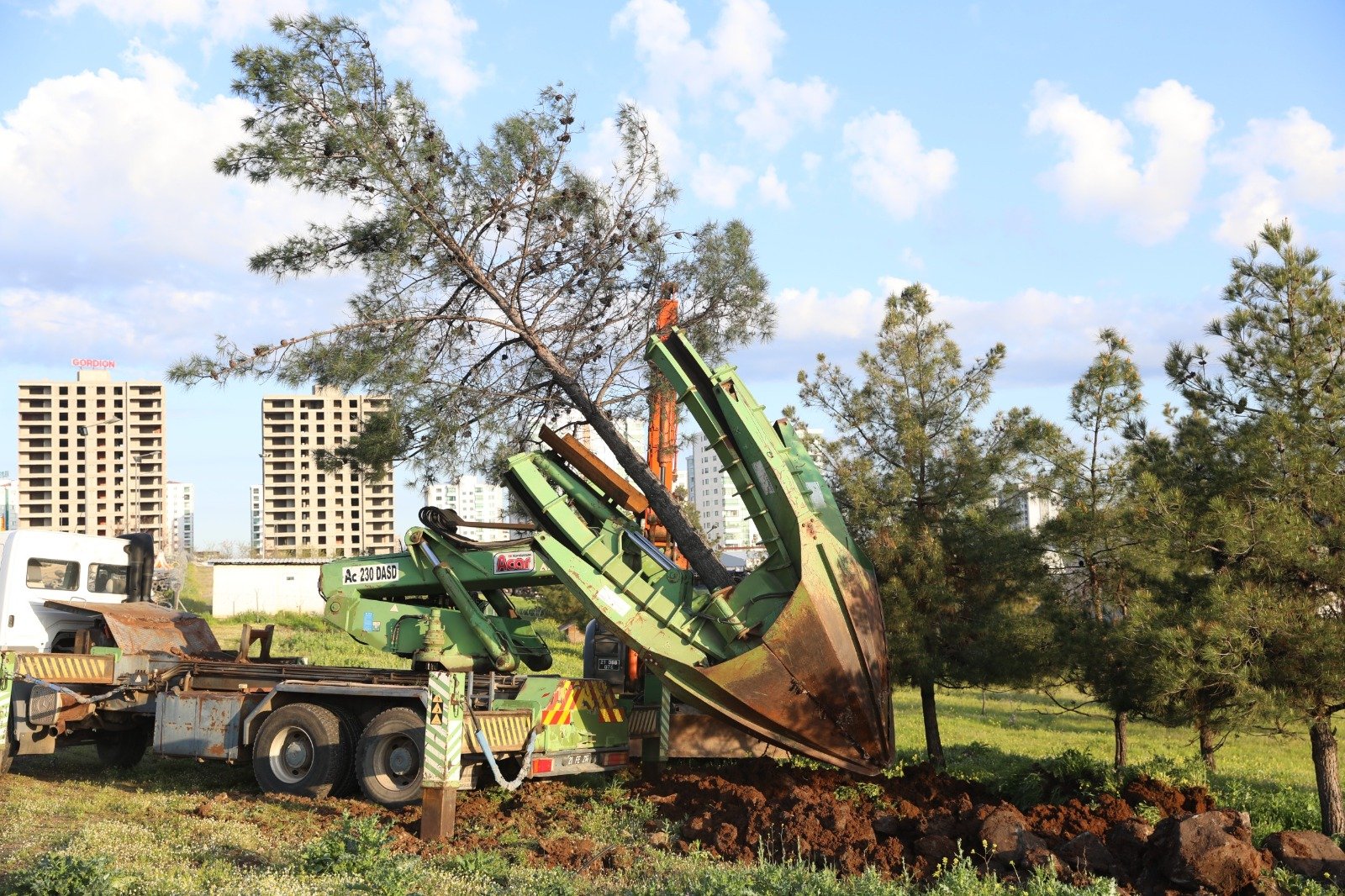 Diyarbakır’da ağaç kesme tartışması; Serra Bucak ve Sezgin Tanrıkulu’dan açıklamalar