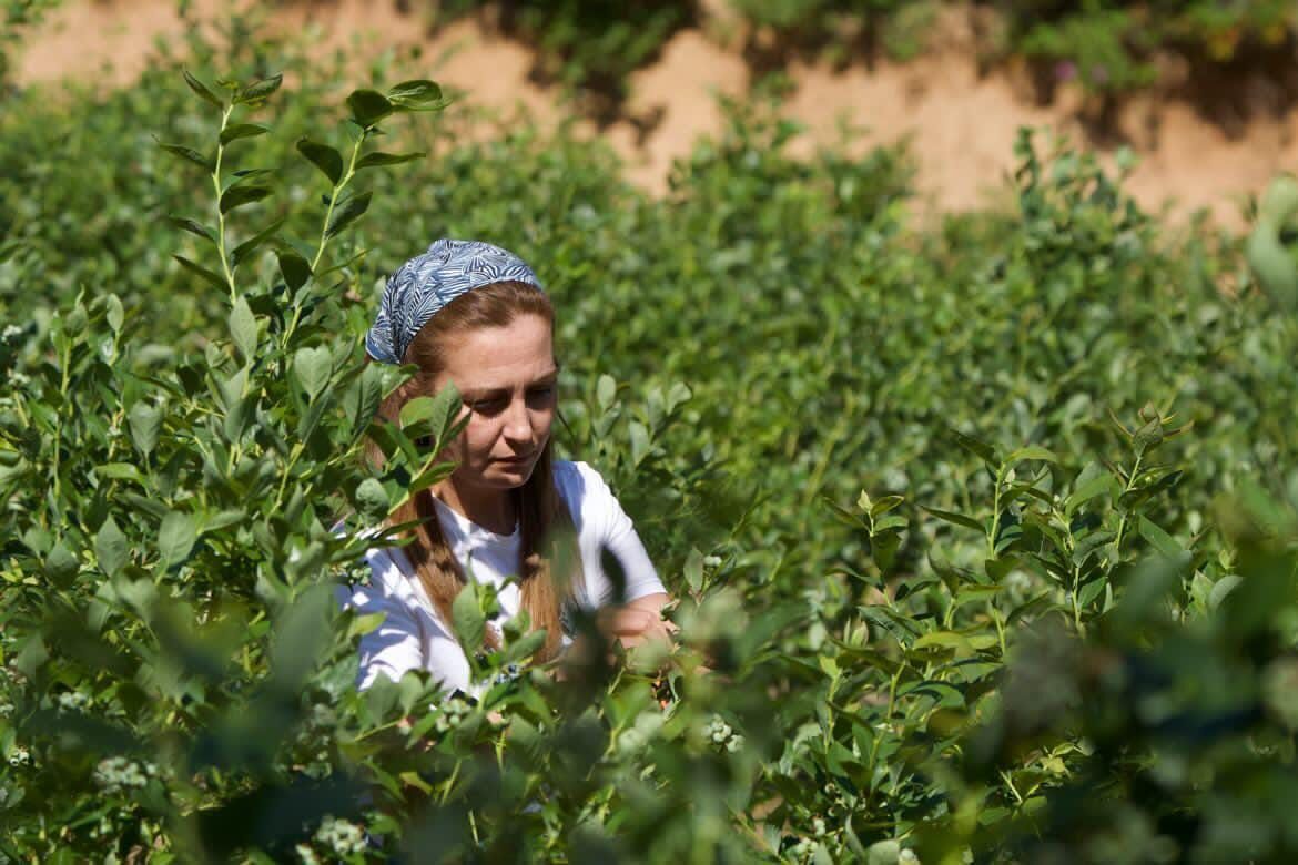 Ormandaki Bahçe: Kadın emeğini toprağa benzeten Zeynep Çelik'in yeni mücadele alanı